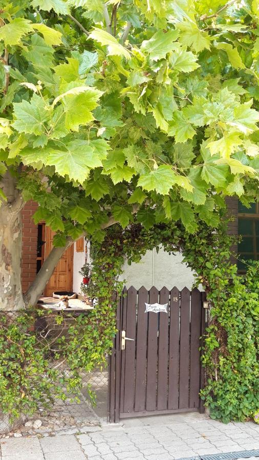 Agave Apartman Velence Zewnętrze zdjęcie