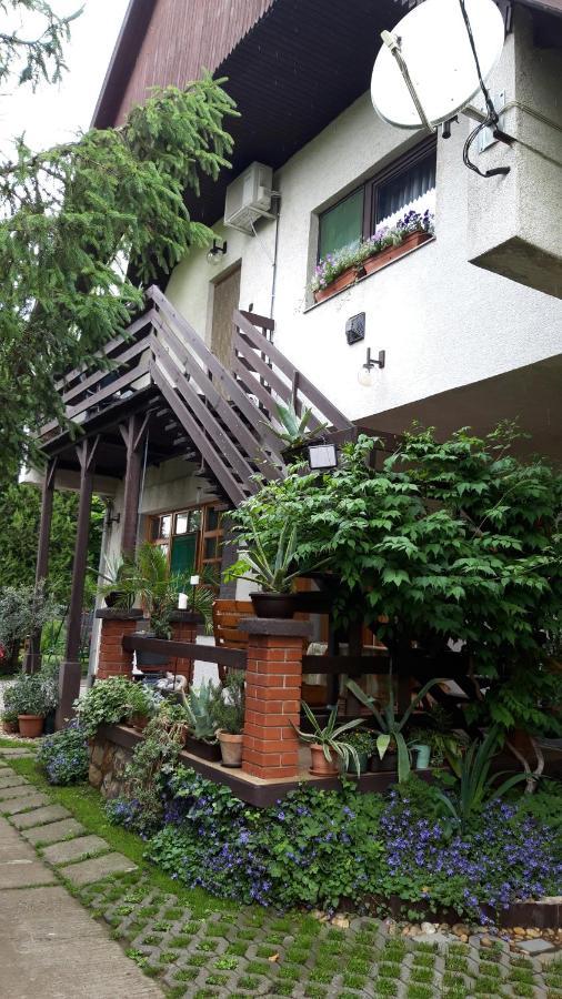 Agave Apartman Velence Zewnętrze zdjęcie